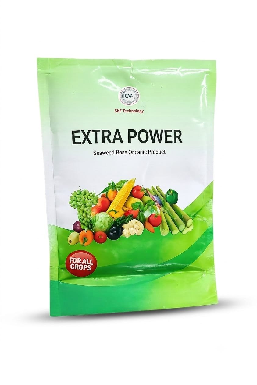 Extra Power