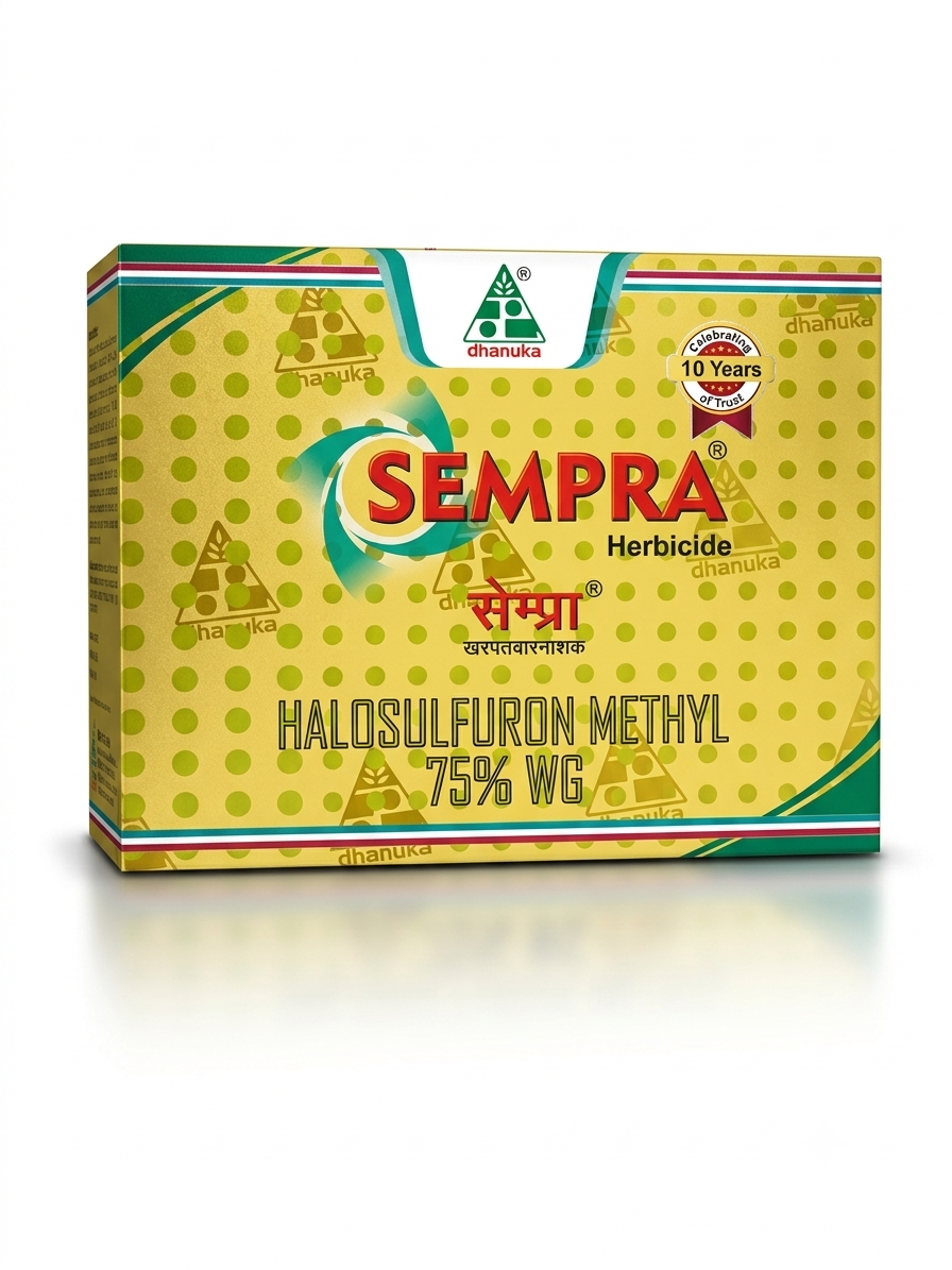 Sempra 36gm