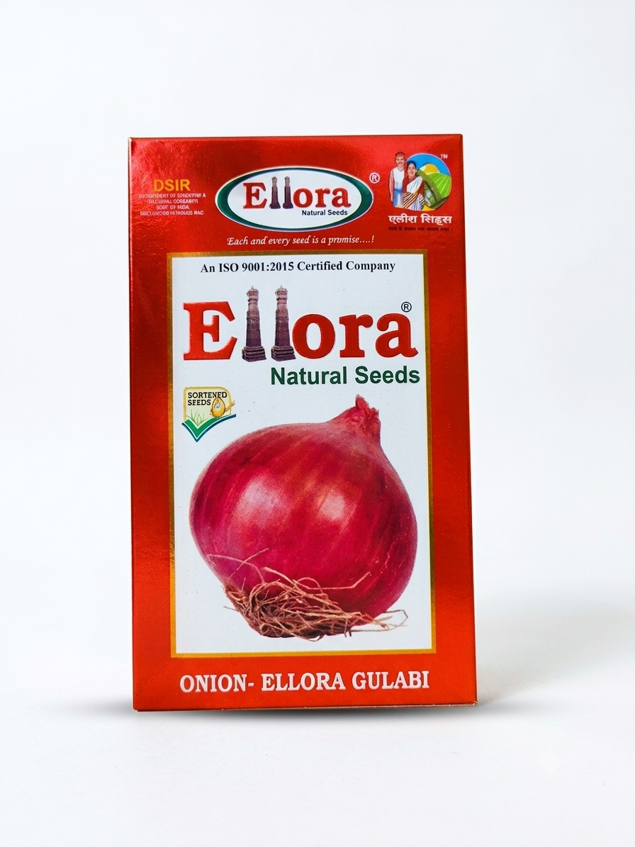 Ellora Gulabi Onion 500GM
