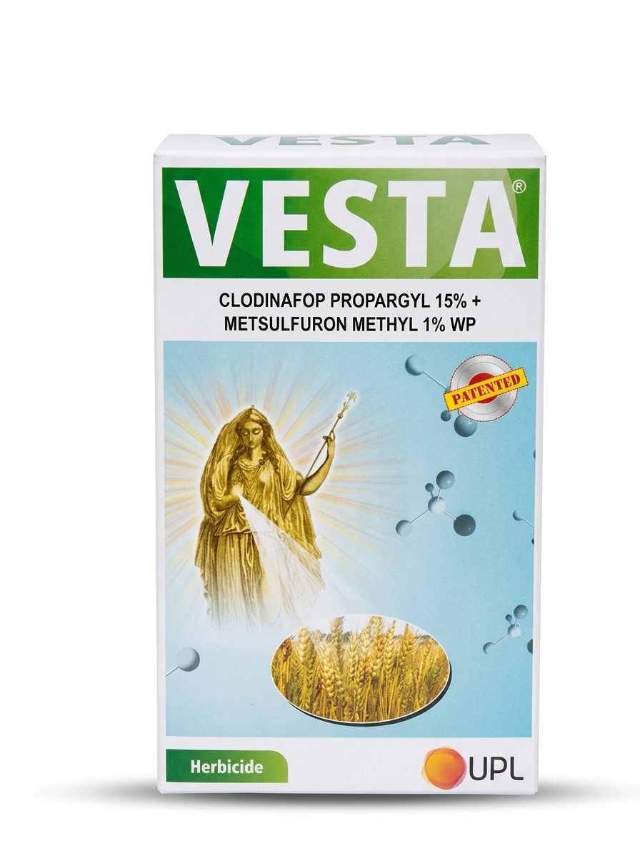 Vesta