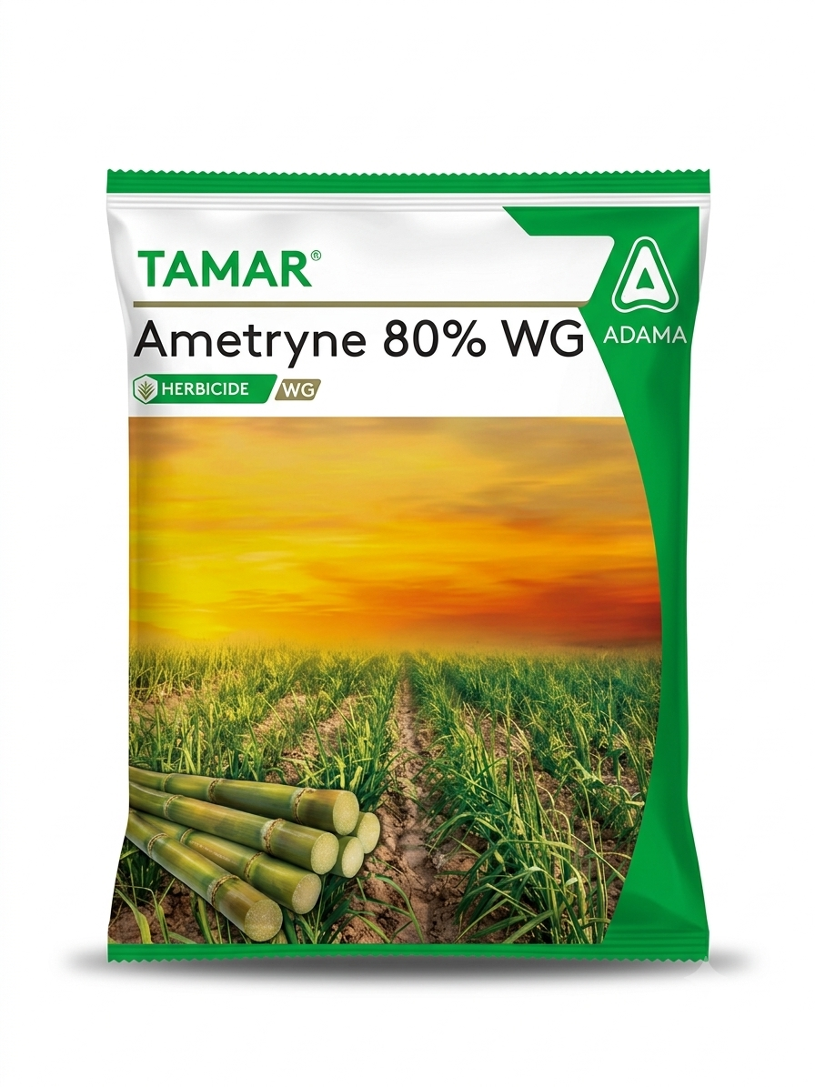 Tamar (Ametryne) 1KG