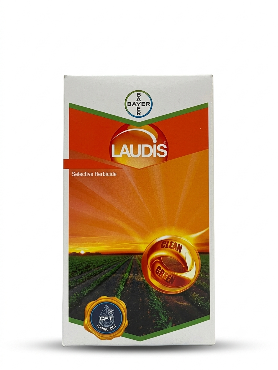 Laudis