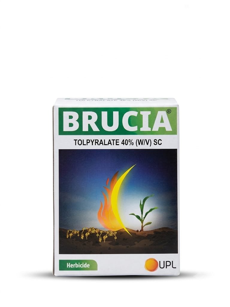 Brucia (Tolpyralate 40% W/V ) SC